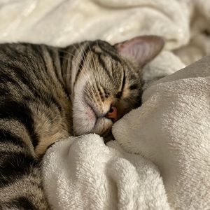 Meet your Posher, Nicholas